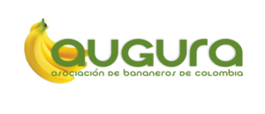 Augura